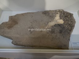 Museos de Albacete 2023